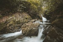 Frühlingslandschaft des Waldparks mit kleinem reißenden Fluss, der zwischen alten Bäumen und mit Moos bewachsenen Steinen in Nordirland fließt — Stockfoto