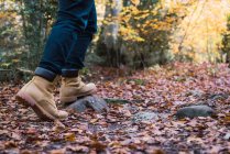 Crop legs in jeans and brown boots of hiker on rocky spangled of golden fallen leaves path with autumn forest on background — Stock Photo