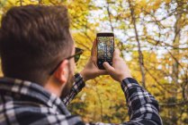 Мужчина в клетчатой рубашке фотографирует осенние деревья на мобильном телефоне с лесами на размытом фоне — стоковое фото