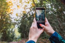 De baixo de mãos de colheita em camisa xadrez tirando foto de árvores de outono no telefone celular com madeiras no fundo borrado — Fotografia de Stock