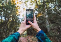 Dal basso delle mani del raccolto in camicia a quadri scattare foto di alberi autunnali sul telefono cellulare con boschi su sfondo sfocato — Foto stock
