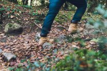 Crop jambes en jeans et bottes brunes de randonneur sur rocheux pailleté de feuilles dorées tombées chemin avec forêt d'automne sur fond — Photo de stock