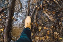 Посадка ног в джинсах и коричневые сапоги туриста на скалистых брызги золотистых опавших листьев пути с осенним лесом на заднем плане — стоковое фото