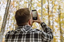 Back view of man in plaid shirt taking photo of autumn trees on mobile phone with woods on blurred background — Stock Photo