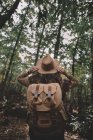 Rückansicht einer anonymen Frau mit Rucksack und Hut, die durch grüne Wälder in der Natur reist — Stockfoto
