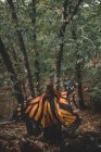 Вид на девушку в плаще с крыльями бабочки, танцующую возле деревьев в зеленом лесу — стоковое фото
