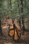 Back view of anonymous young woman in butterfly wings cape dancing near trees in green forest — Stock Photo