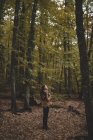 Vista lateral da jovem mulher em chapéu embrulhando em cachecol quadriculado enquanto estava em pé sobre folhas secas na floresta de outono olhando para cima — Fotografia de Stock