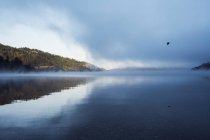 Mare sereno e irreprensibile di montagne e laghi che riflettono nuvole e uccellini in cielo nel Parco Nazionale Laguna del Laja, Cile — Foto stock