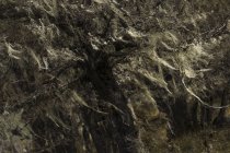 Textura abstracta de grietas dentadas pedregosas en montañas en el Parque Nacional Cerro Castillo, Chile - foto de stock