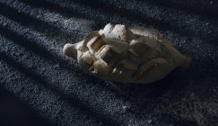 Хліб з розрізами на сірому фоні — стокове фото