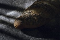 Hoja de pan con granos y semillas de amapola sobre fondo gris con sombra - foto de stock