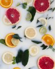 Fresh rounds of citrus fruits in milk — Stock Photo
