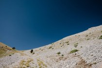 Horizont eines hellen Landes mit seltenen grünen Büschen und blauem klaren Himmel mit sichtbarem Halbmond — Stockfoto