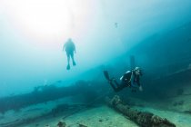 Buceadores nadando bajo el agua explorando restos - foto de stock