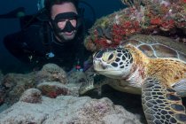 Mergulhador livre nadando subaquático com tartaruga grande no oceano — Fotografia de Stock