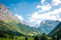 Paesaggio pittoresco veduta delle case sul prato verde delle Alpi montagne in Svizzera — Foto stock