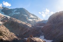 Обратный вид туриста, опирающегося на камни и наслаждающегося скалистыми горами на солнце в Швейцарии — стоковое фото