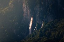 З - над піни звивається гірська річка через вічнозелений ліс у Швейцарії. — стокове фото
