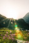 Paisagem incrível de prado com flores e rio fluindo entre pedras entre montanhas na Suíça — Fotografia de Stock