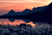 Atemberaubende Landschaft aus bewegungslosem Wasser, das den Himmel im warmen Sonnenuntergang reflektiert, und Bergen in der Schweiz — Stockfoto