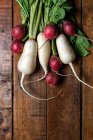 Fresh organic radish and turnips on a dark wooden table — Stock Photo
