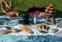D'en haut de délicieux biscuits à tarte et cupcakes avec tasse et soucoupe sur couverture bleue pour le thé en plein air au jardin d'été — Photo de stock