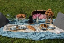 Зверху смачного пирога і кексів печиво з кухольними тарілками на синій ковдрі для вечірки на відкритому повітрі в літньому саду — стокове фото