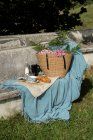Cupcakes e biscoitos com bule e leite em cobertor azul servido com cesta de palha com flores no banco balançado no jardim de verão — Fotografia de Stock