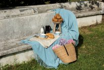 Cupcakes y galletas con tetera y leche sobre manta azul servidas con cesta de paja con flores en banco balanceado en el jardín de verano - foto de stock