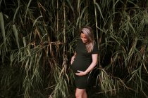 Счастливая беременная женщина в повседневной одежде гладит живот, стоя на зеленой стене деревьев в солнечный летний день с голубым небом — стоковое фото