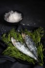 Prepared savory sardines served on dill on plate on black background — Stock Photo