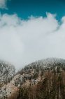 Paisagem surpreendente de colinas cobertas de floresta na neve sob céu azul brilhante nublado — Fotografia de Stock