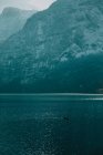Paisagem serena com cisne solitário em água cristalina refletindo céu e montanhas nevadas em dia brilhante em Hallstatt — Fotografia de Stock