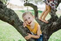 Spielerische Kinder klettern auf Baum auf sonniger, grüner Wiese — Stockfoto