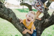 Enfants ludiques grimpant à l'arbre sur la prairie verte ensoleillée — Photo de stock