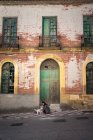Мирная леди гладит собаку на улице — стоковое фото