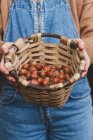 De cima pessoa de colheita mostrando colheita de avelã marrom saboroso maduro em cesta de vime bonito — Fotografia de Stock