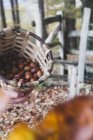De acima mencionada colheita de avelã madura saborosa em cesta de vime no gramado cheio de folhas secas na floresta — Fotografia de Stock