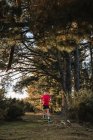 Hombre adulto sano activo en camisa roja y pantalones cortos negros que trotan en el camino medio en el bosque en el día soleado del otoño - foto de stock