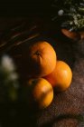 Oranges mûres douces — Photo de stock