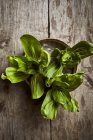 Top view of fresh ripe bok choy placed on weathered round box on wooden table — Stock Photo