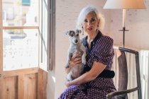Calma mujer mayor sentada en sillón con perro en la habitación de luz - foto de stock