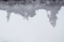 Floresta de pinheiro coberta de neve e gelo em uma paisagem nebulosa no norte da Espanha Montanhas — Fotografia de Stock