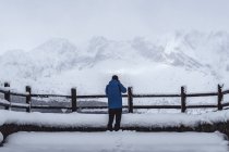Rückansicht des Menschen Sightseeing Wald mit Schnee und Eis bedeckt in einer nebligen Landschaft im Norden der spanischen Berge — Stockfoto