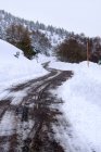 Сосновый лес и дорога покрыты снегом и льдом в туманном ландшафте на севере Испании гор — стоковое фото