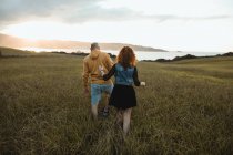 Vista trasera de pareja joven romántica cogida de la mano y caminando en el campo verde a la orilla del mar al atardecer con cielo nublado - foto de stock