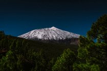 Mysterious evening landscape of snowy mountain volcano under dark blue starry sky surrounded by green trees in Tenerife. El Teide, Canary Island, Spain — Stock Photo