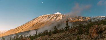 Pico de nieve corriendo hacia el cielo estrellado rodeado de bosque verde - foto de stock