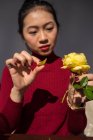 Junge Asiatin sitzt am Holztisch und konzentriert sich darauf, Blütenblätter von der gelben Rose zu reißen — Stockfoto